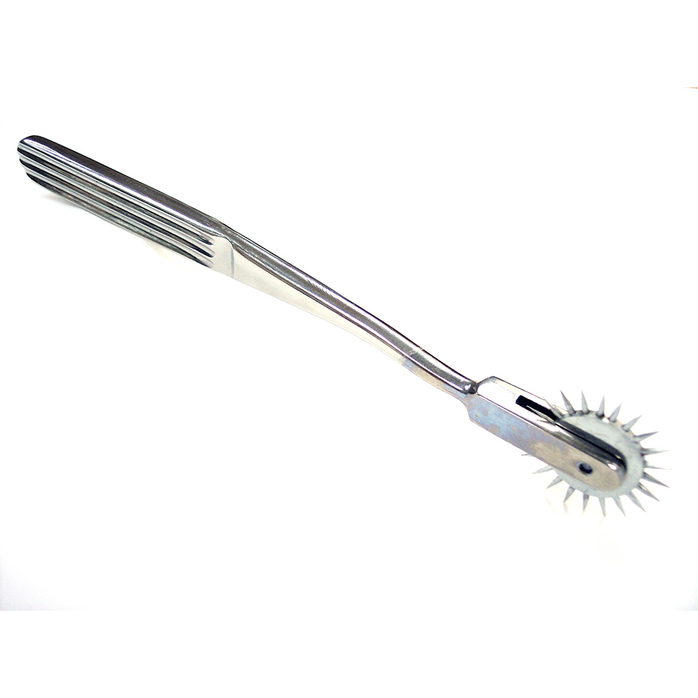 Wartenberg Pinwheel I Rustfrit Stål fra Rouge