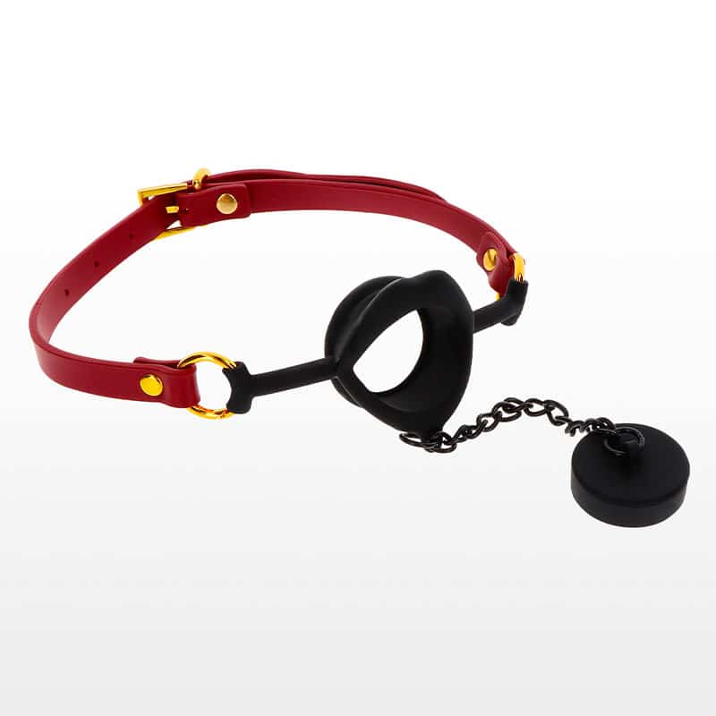 Kinky Gag Med Plug fra Taboom