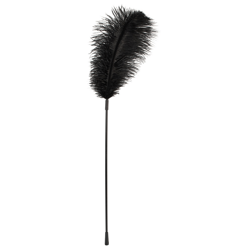Feather Wand 38 Cm fra Bad Kitty